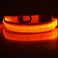 Nylon LED Pet Dog Luminous Collar Night Safety Flashing Glow in Dark