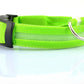 Nylon LED Pet Dog Luminous Collar Night Safety Flashing Glow in Dark