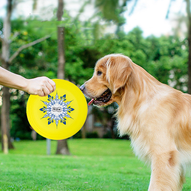 Bite-Resistant Floating Dog Toy