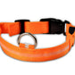 Nylon LED Pet Dog Luminous Collar Night Safety Flashing Glow in Dark