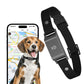 Pet Global Positioning Collar Track Tracking Locator
