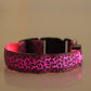 LED Dog Collar Safety Adjustable Nylon Leopard Pet Collar