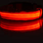 Nylon LED Pet Dog Luminous Collar Night Safety Flashing Glow in Dark