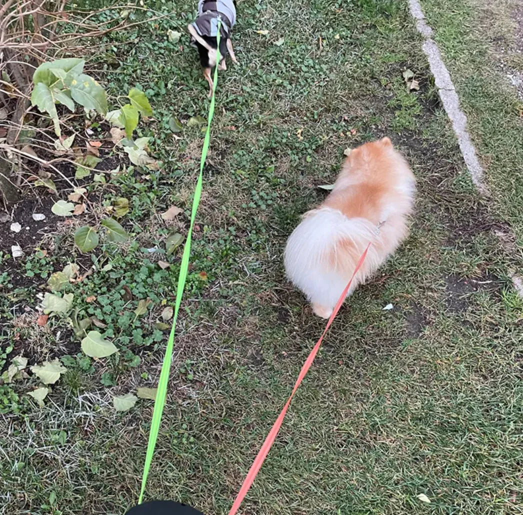 Dual Retractable Dog Leash with Lights