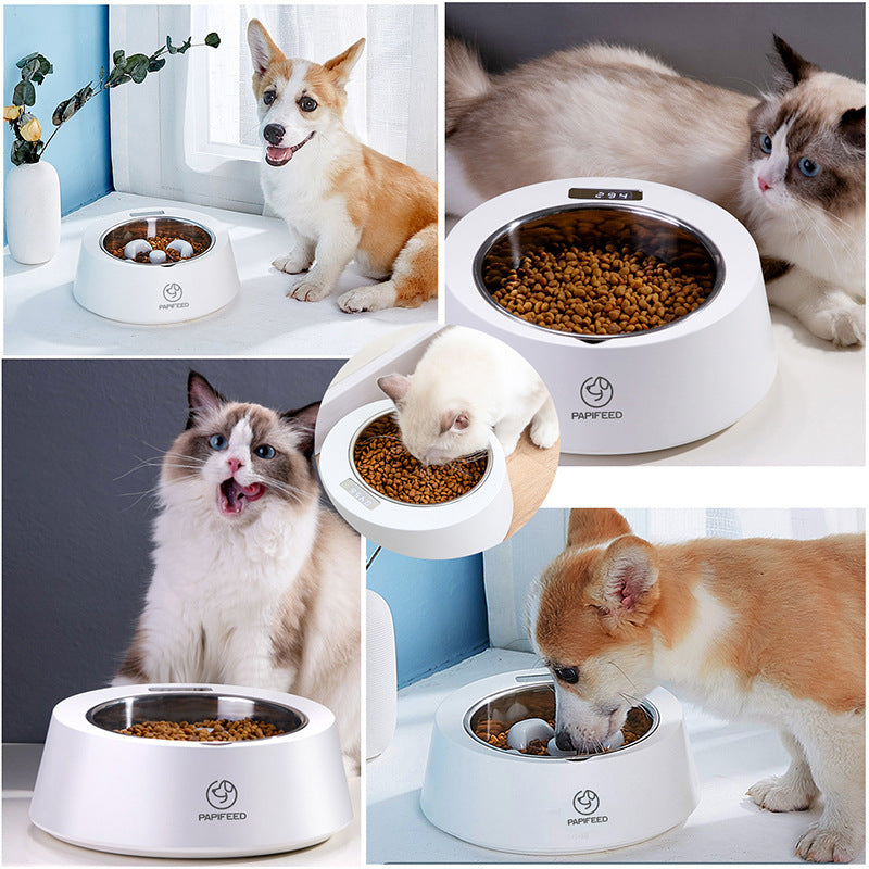 Pet Food Bowl Smart Weighing