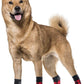 Dog Socks Cotton Socks Pet Supplies