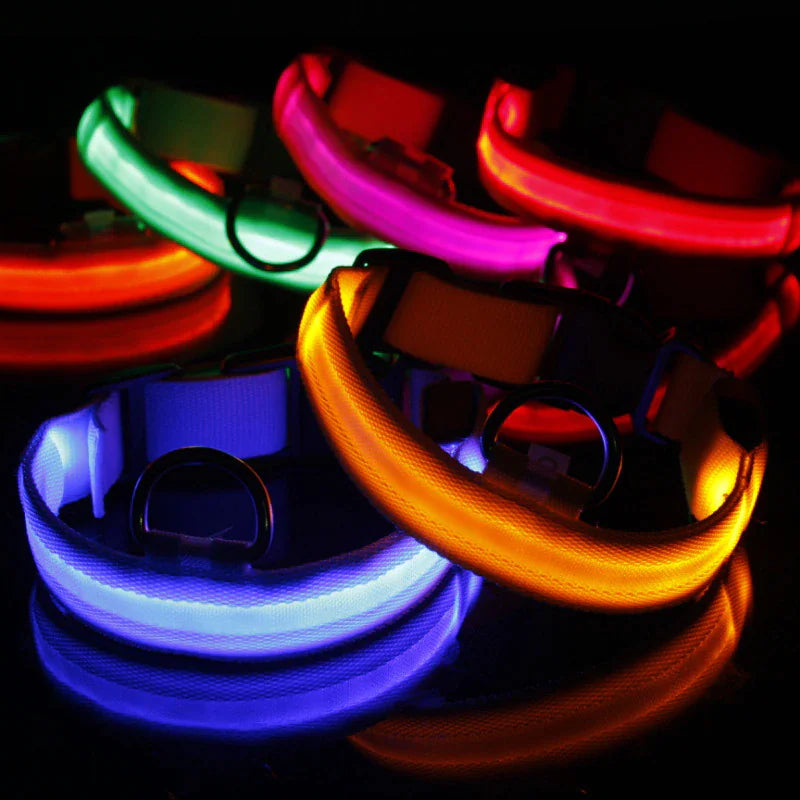 LED Glow Safety Dog Collar