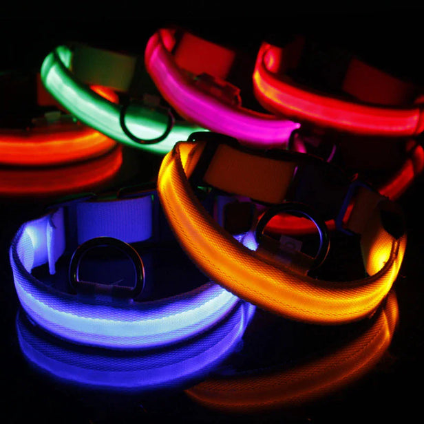 LED Glow Safety Dog Collar