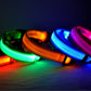 Nylon LED Pet Dog Luminous Collar Night Safety Flashing Glow in Dark