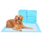 Premium Disposable Training Pads, Pee Pads, Training Pads, Disposable Puppy Pee Pads