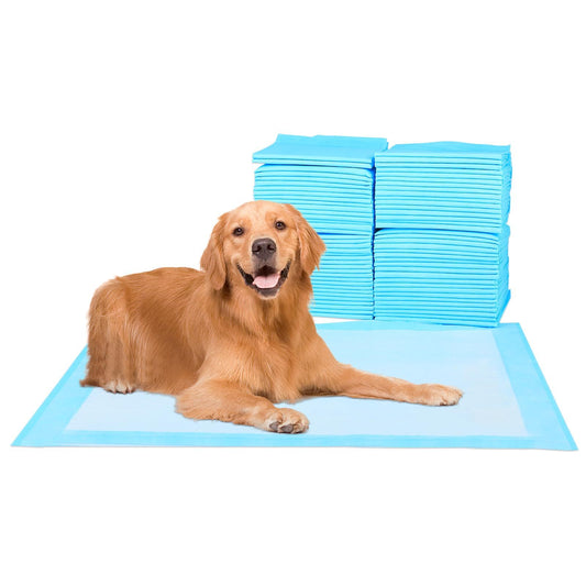 Premium Disposable Training Pads, Pee Pads, Training Pads, Disposable Puppy Pee Pads
