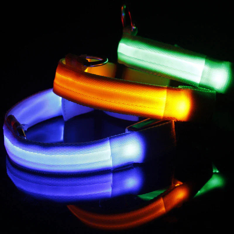 LED Glow Safety Dog Collar