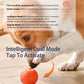 Interactive Bouncing Ball For Dogs,Automatic Smart Toy, Self-moving Rotating Stimulating Pet Entertainment