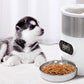 Smart APP Pet Feeder Cat And Dog Food Automatic Dispenser