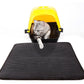Waterproof Pet Cat Litter Mat EVA Double Layer Cat Litter Trapping Pet