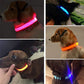 LED Glow Safety Dog Collar