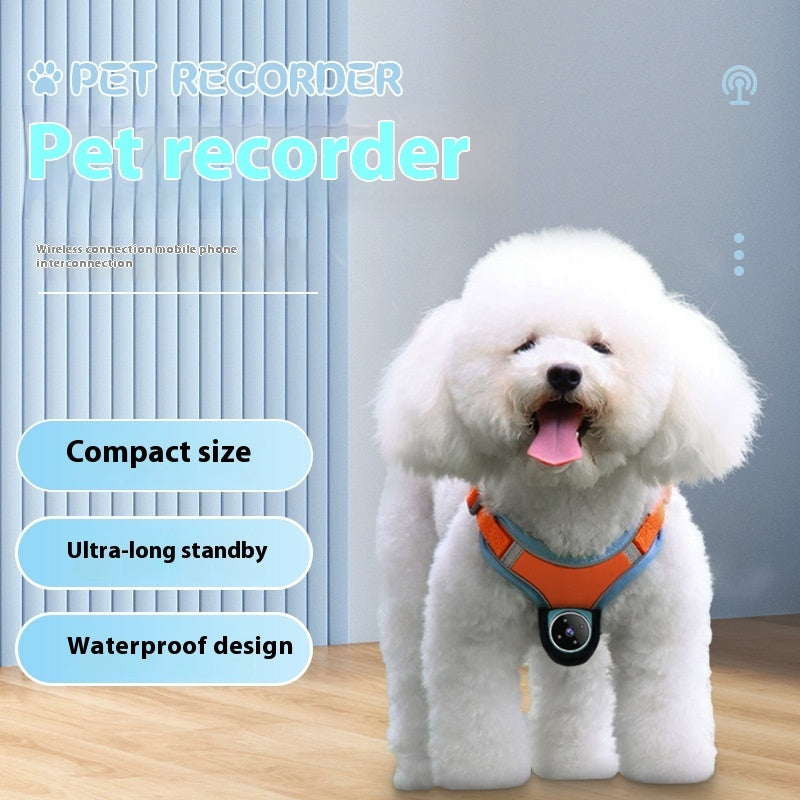 Pets Recorder Pet Tracker Collar Dogs And Cats Viewing Angle Motion Recording Camera