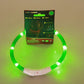 Pet Flashing Collar USB Rechargeable Glowing Necklace Safety Collar