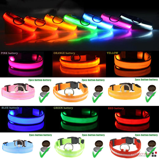 LED Glow Safety Dog Collar