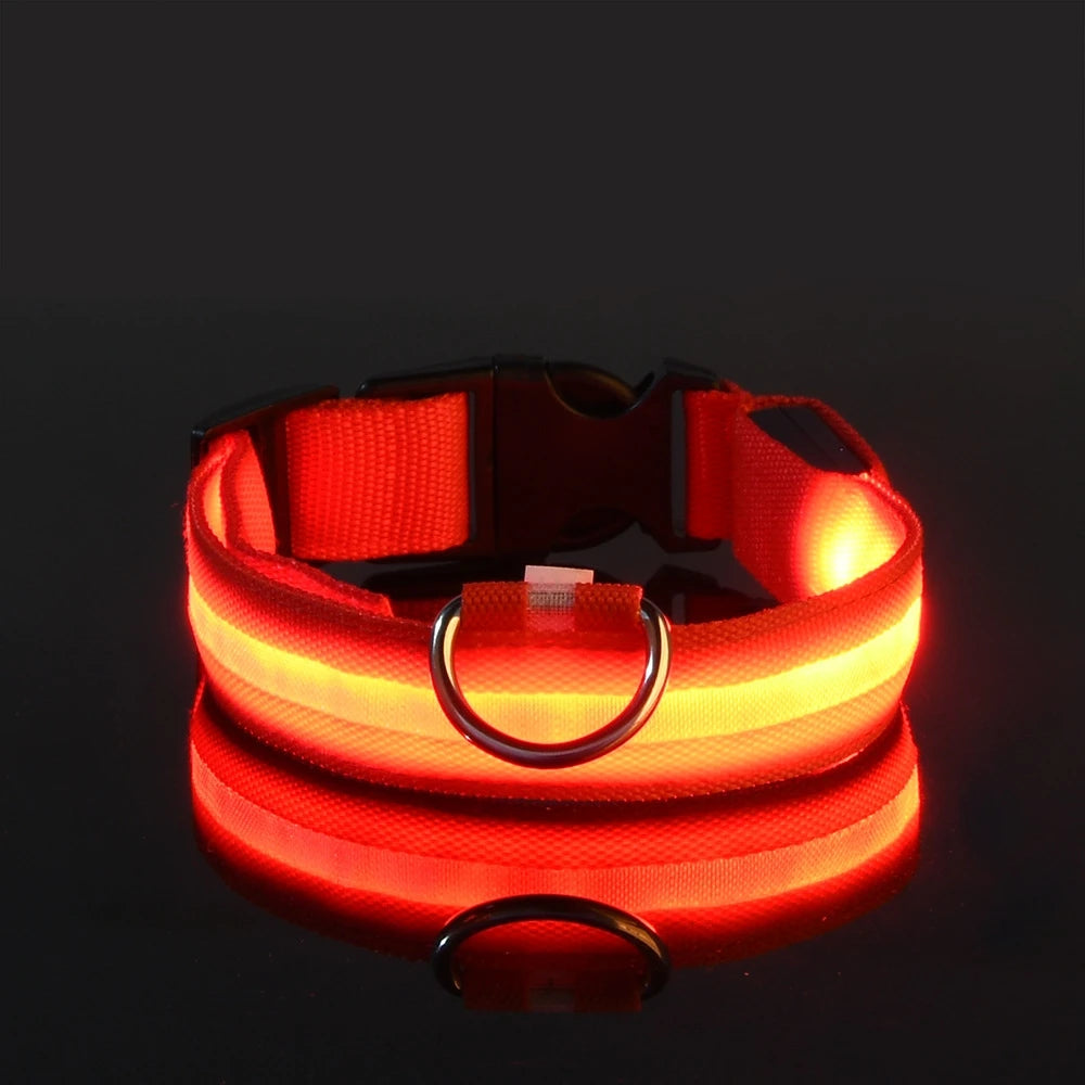 Dark Dog Leash Dogs Luminous Fluorescent Pet Dog Collar