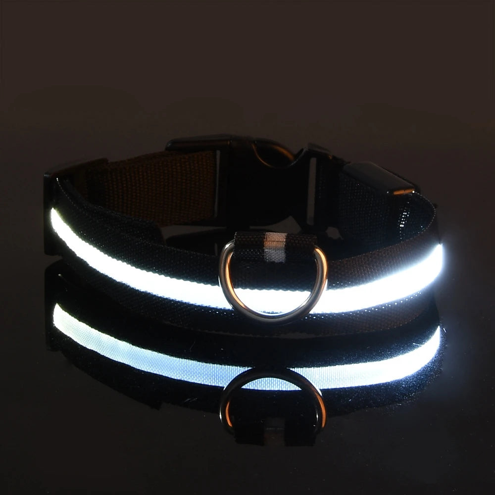 Dark Dog Leash Dogs Luminous Fluorescent Pet Dog Collar