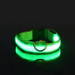 Dark Dog Leash Dogs Luminous Fluorescent Pet Dog Collar