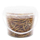 250g High-Protein Mealworms