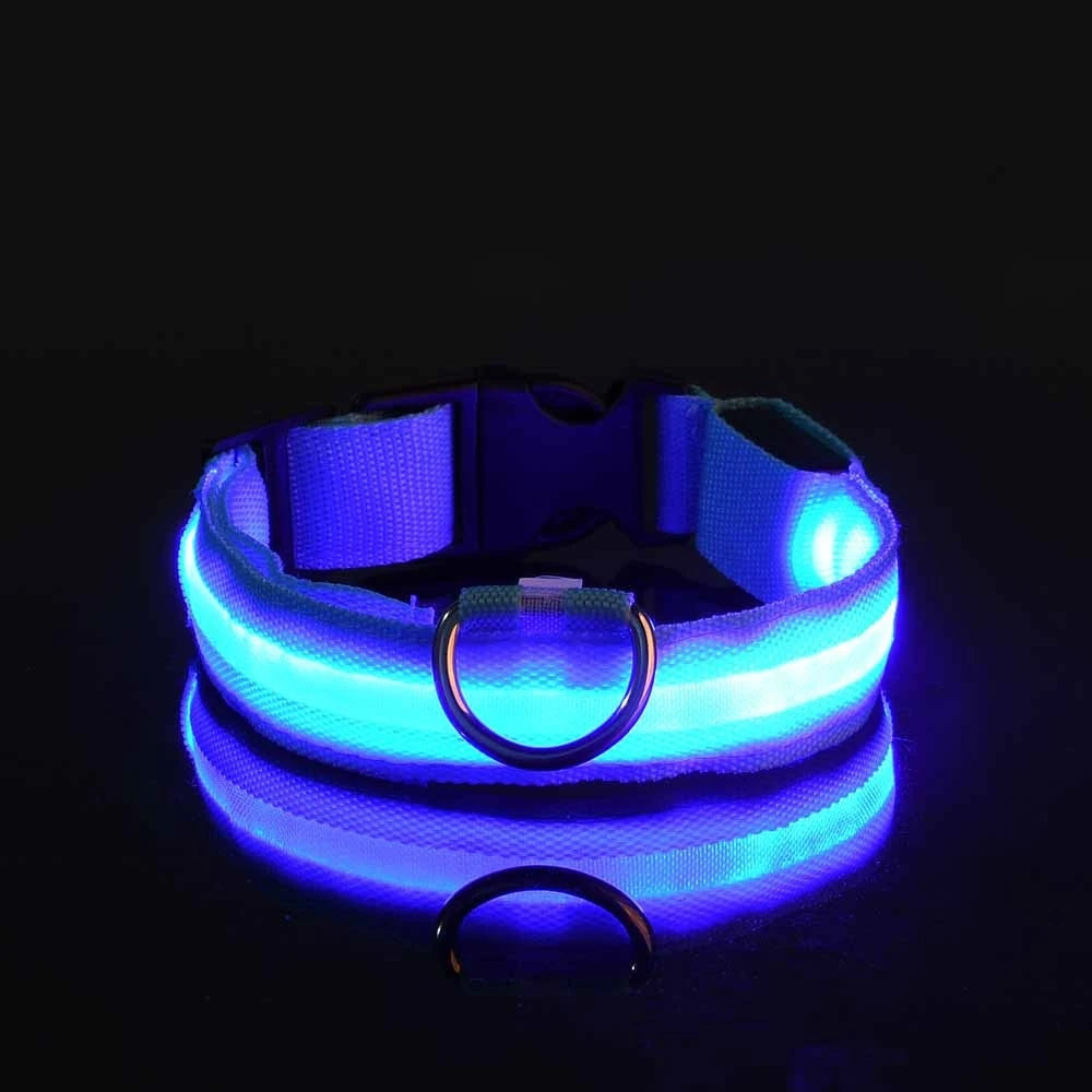 Dark Dog Leash Dogs Luminous Fluorescent Pet Dog Collar