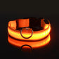 Dark Dog Leash Dogs Luminous Fluorescent Pet Dog Collar