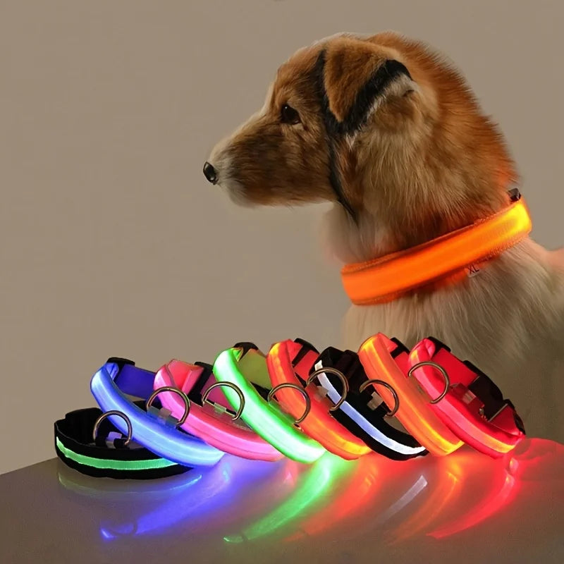 Dark Dog Leash Dogs Luminous Fluorescent Pet Dog Collar