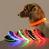 Dark Dog Leash Dogs Luminous Fluorescent Pet Dog Collar