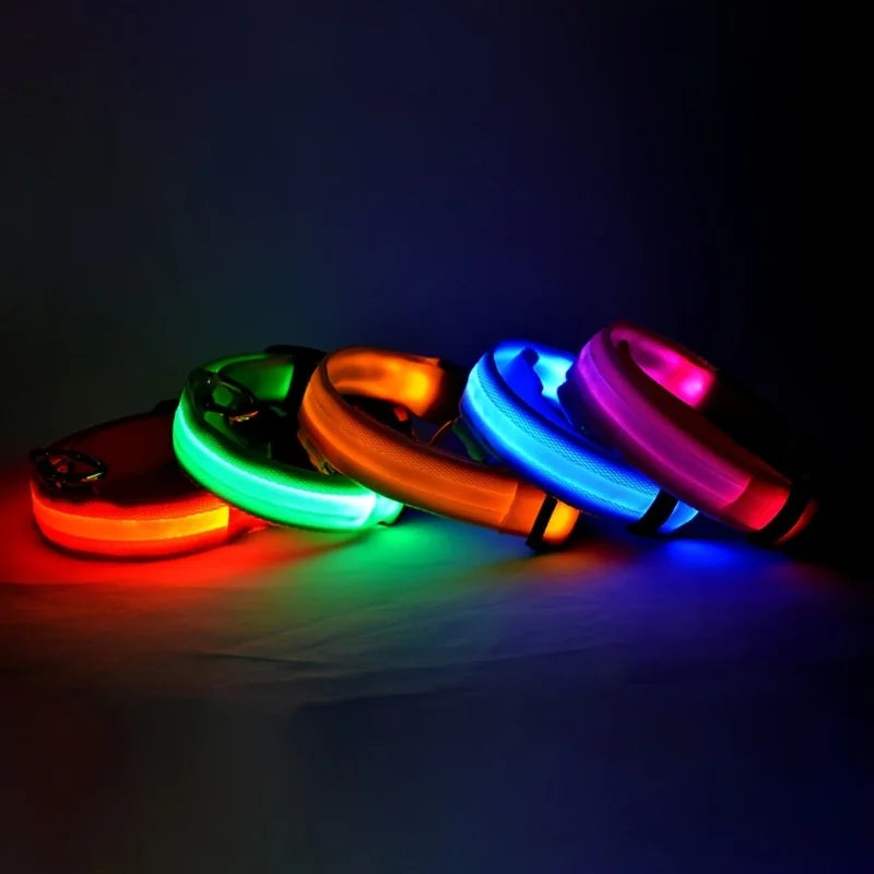 Dark Dog Leash Dogs Luminous Fluorescent Pet Dog Collar