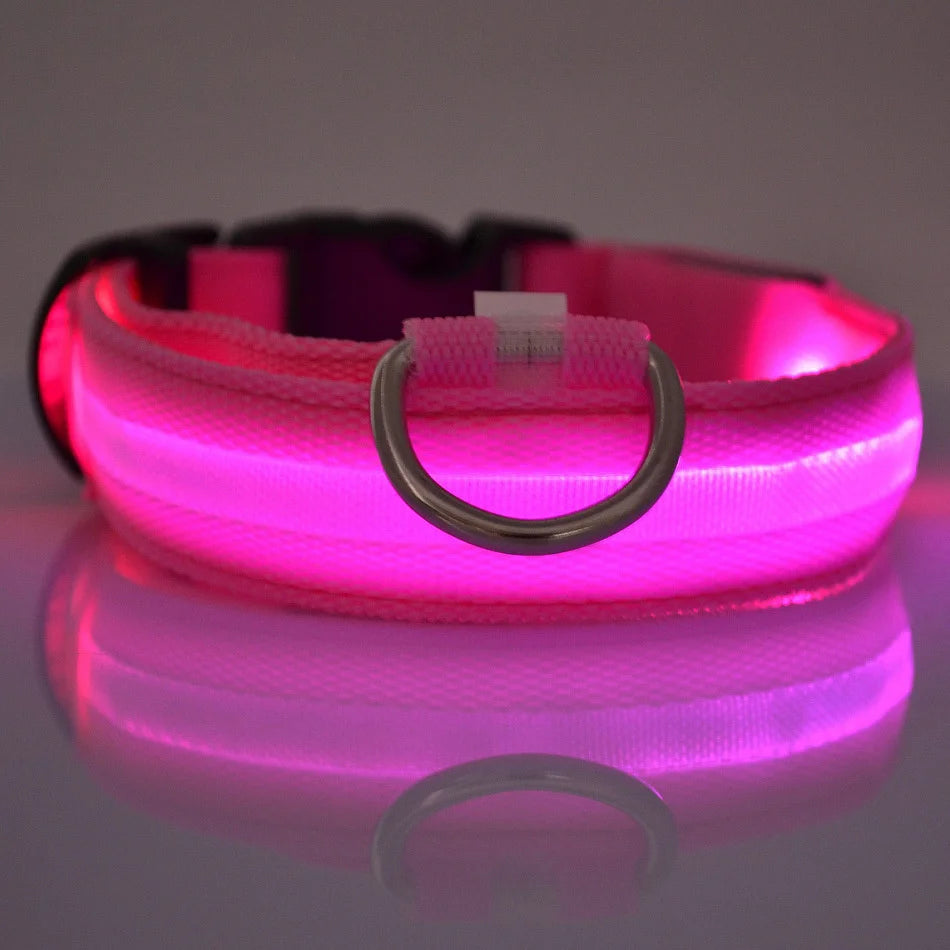 Dark Dog Leash Dogs Luminous Fluorescent Pet Dog Collar