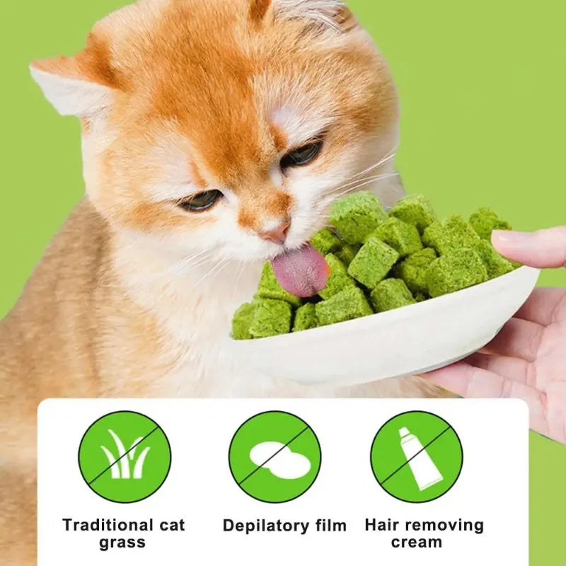 50g Cat Grass Particles Freeze-dried Cat Snacks