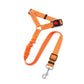 buffer elastic reflective safety rope leash dog rope