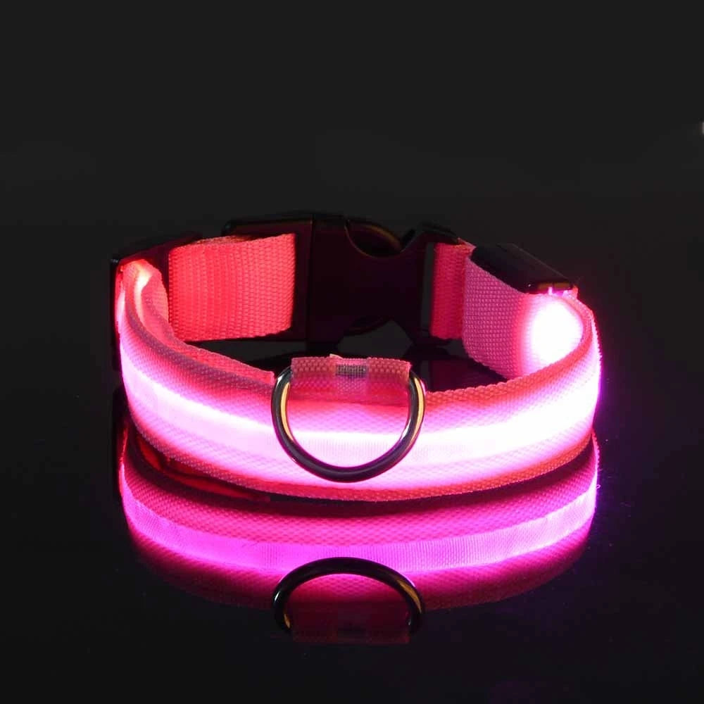 Dark Dog Leash Dogs Luminous Fluorescent Pet Dog Collar