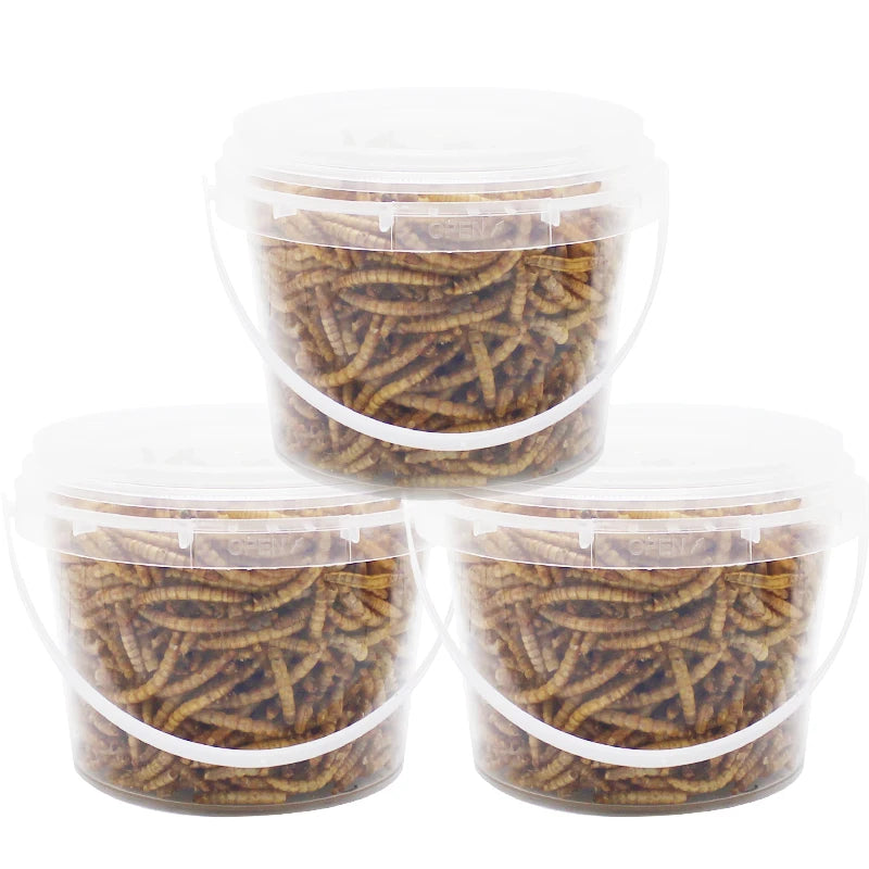 250g High-Protein Mealworms