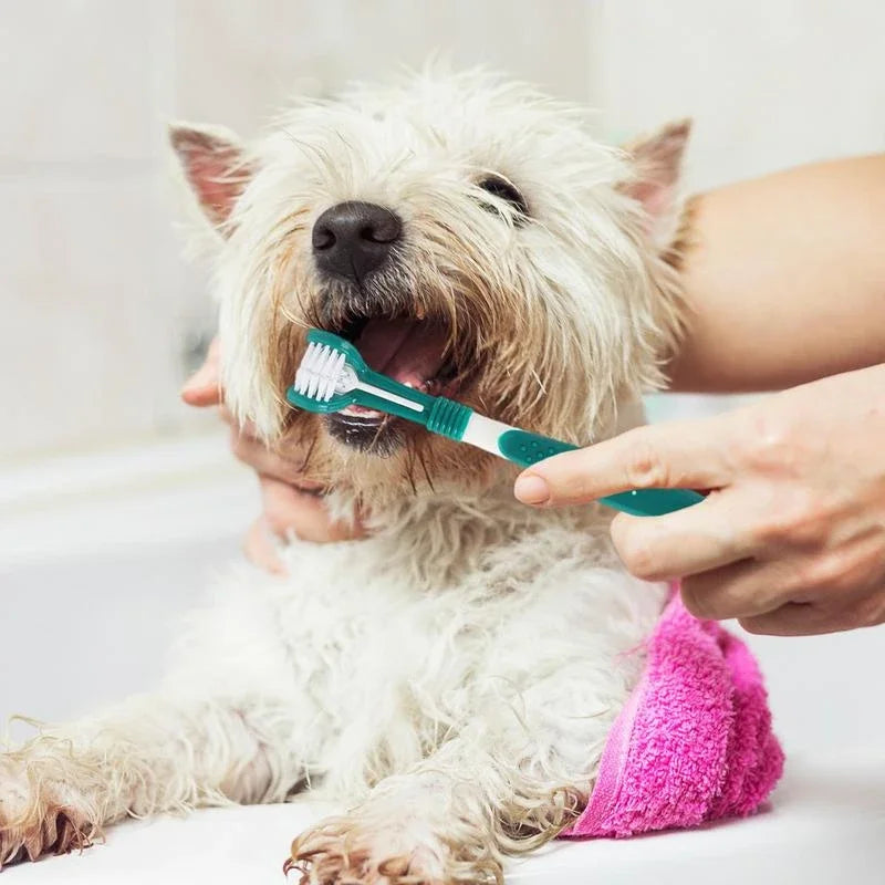 3-Sided Pet Toothbrush Plastic Toothbrush