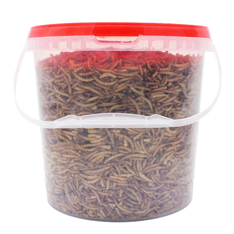 250g High-Protein Mealworms