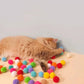 Interactive Launch Training Cat Toys Creative Kittens Mini Pompoms Games Stretch Plush Ball Toys