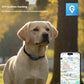 Pet Global Positioning Collar Track Tracking Locator