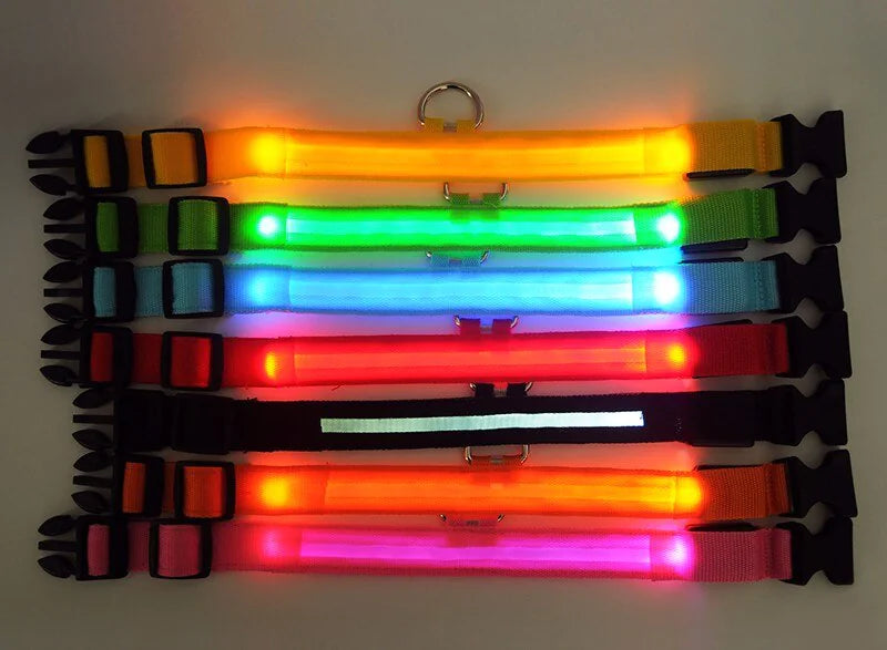 LED Glow Safety Dog Collar