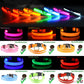 LED Glow Safety Dog Collar