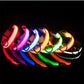 LED Glow Safety Dog Collar