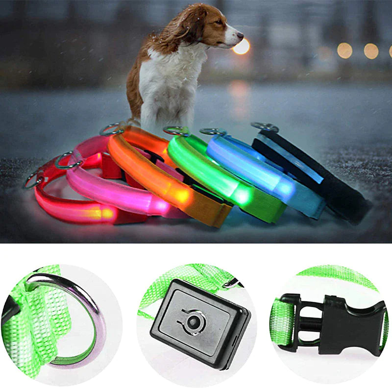 LED Glow Safety Dog Collar