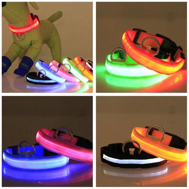 LED Glow Safety Dog Collar