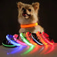 LED Glow Safety Dog Collar