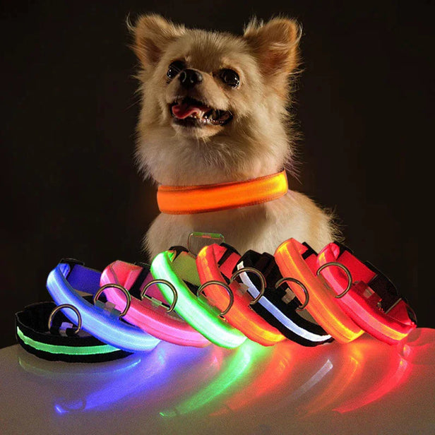 LED Glow Safety Dog Collar